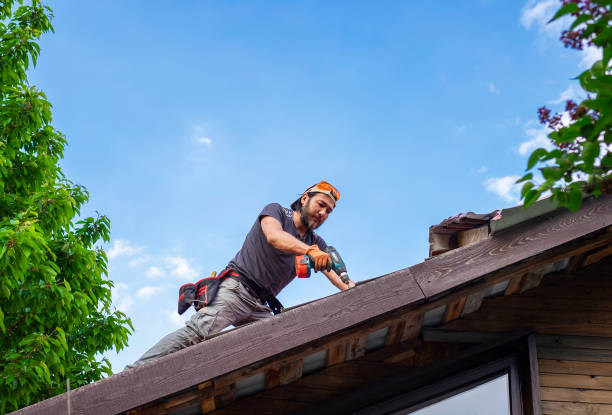 Best Sheet Metal Roofing  in Lennox, SD